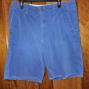 American Eagle Men’s Blue Flat Front Shorts 34W | Casual Chino Summer Style